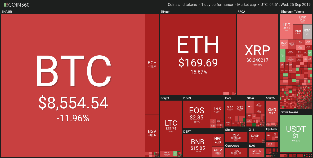 Daily Crypto Market Performance