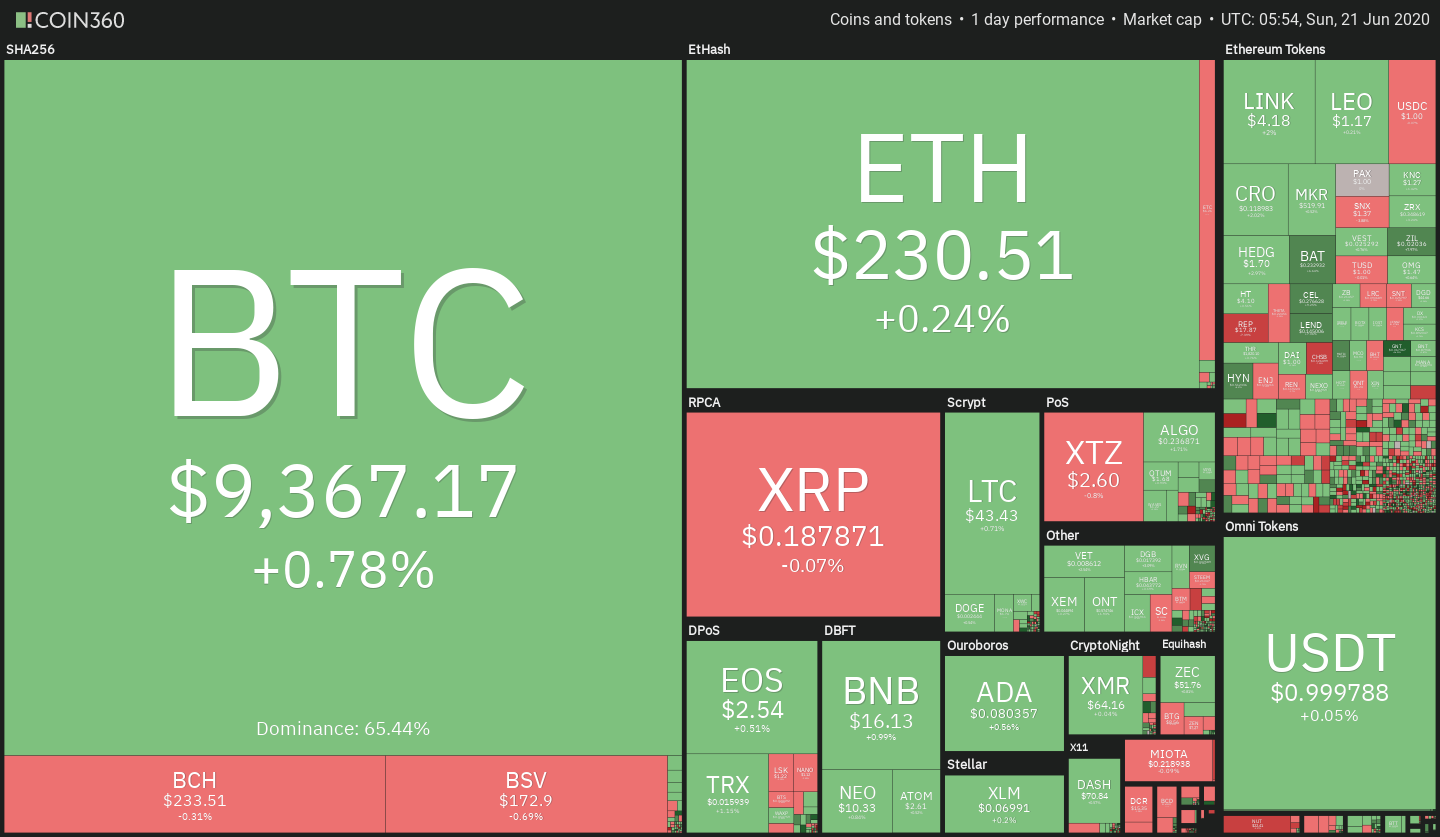 Daily crypto market performance