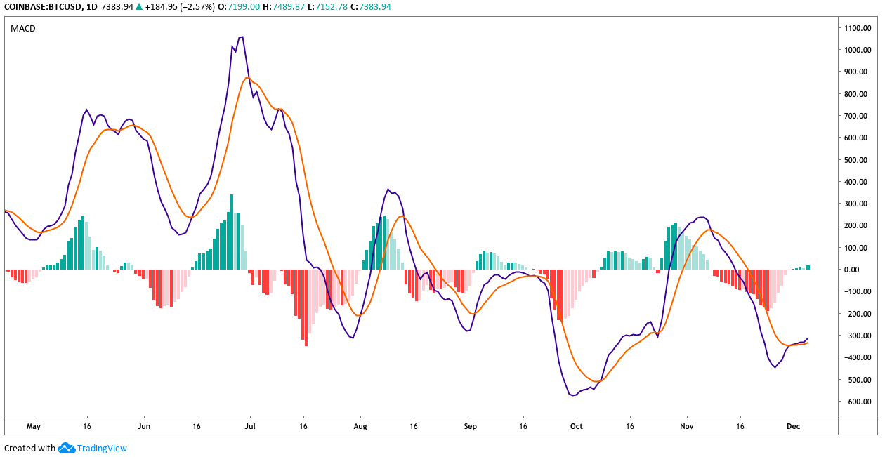 BTC Daily MACD chart. Source: TradingView
