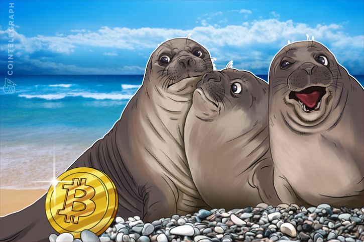 Corrupt Governments Tend to Declare Bitcoin Illegal: Analysis